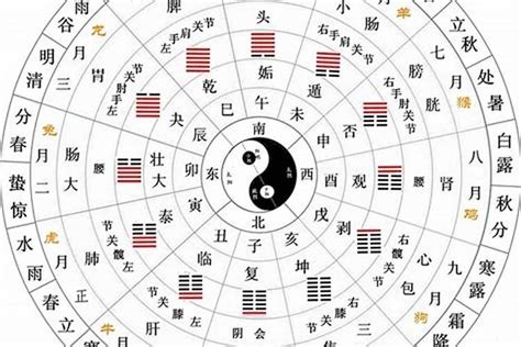 天干五合原理|术数学基础